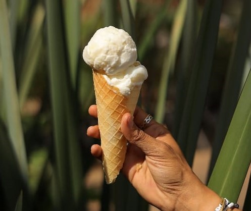 Crust & Cone ice cream cone