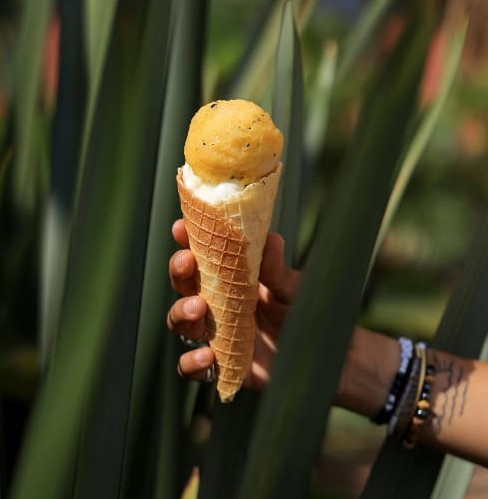 Ice cream at Crust & Cone