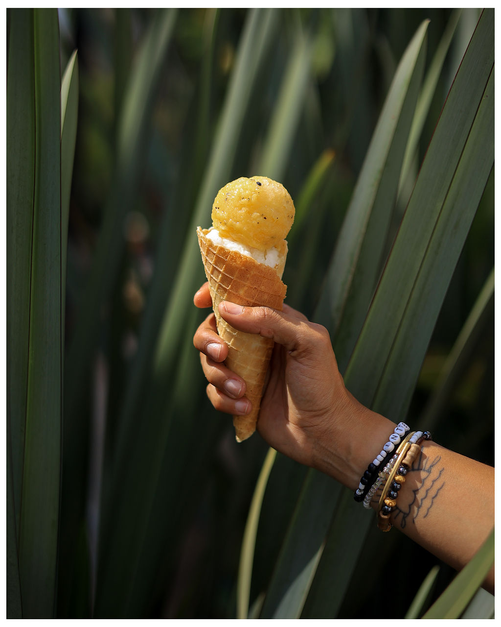 Ice cream at Crust & Cone